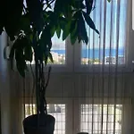 Maris Split
